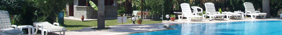 Random header image at 
